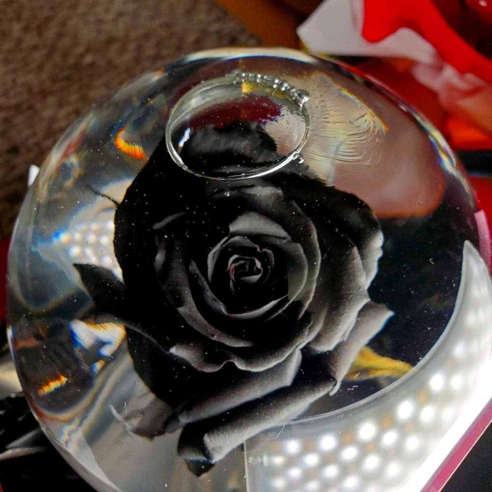 Rose Globes 🌹